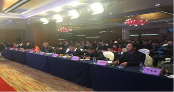 河南省軟件服務(wù)業(yè)協(xié)會最新動態(tài) 引領(lǐng)網(wǎng)絡(luò)技術(shù)服務(wù)創(chuàng)新與發(fā)展